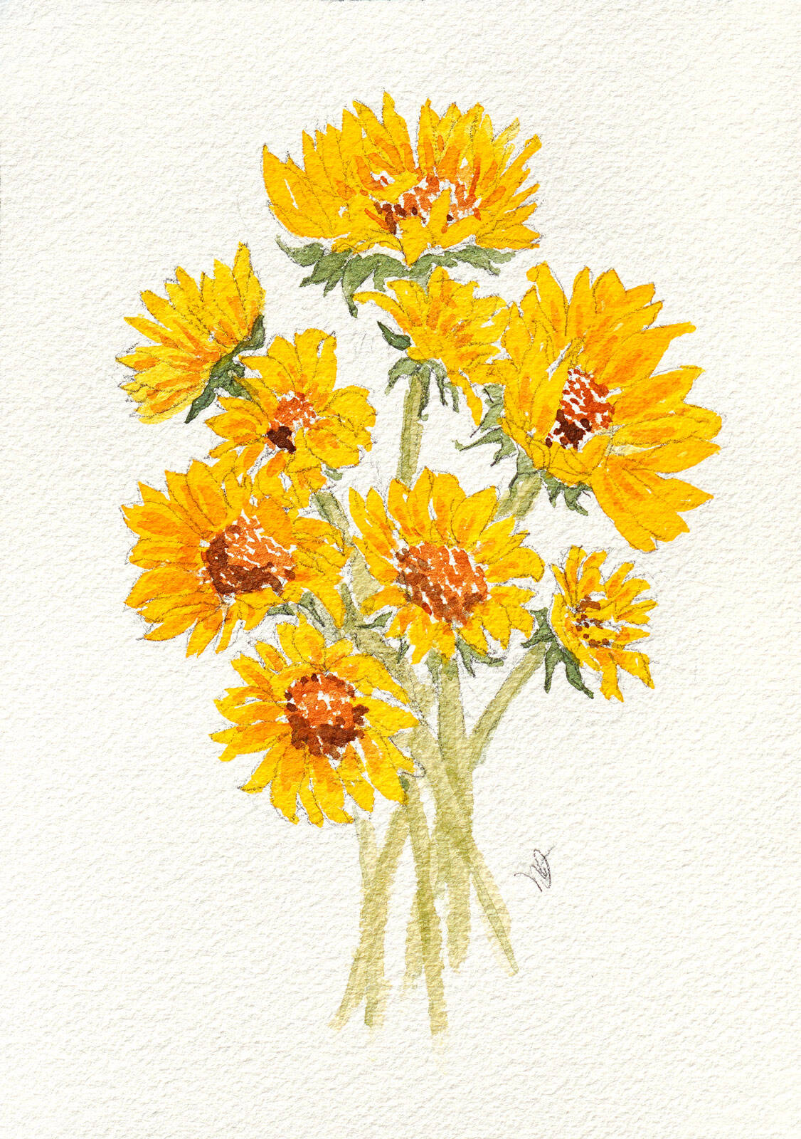 A Sunny Bunch