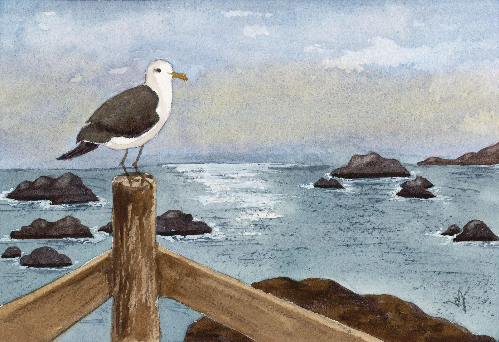 Sea Gull