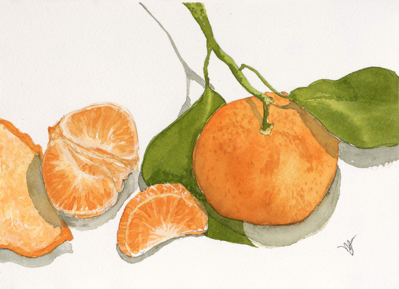 Sweet Satsumas